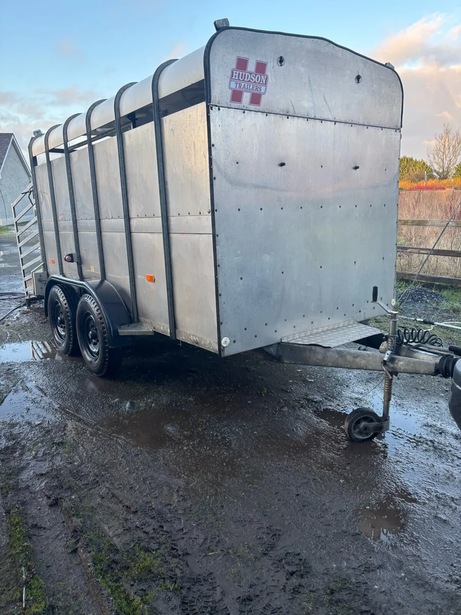 Cattle trailor - Image 4