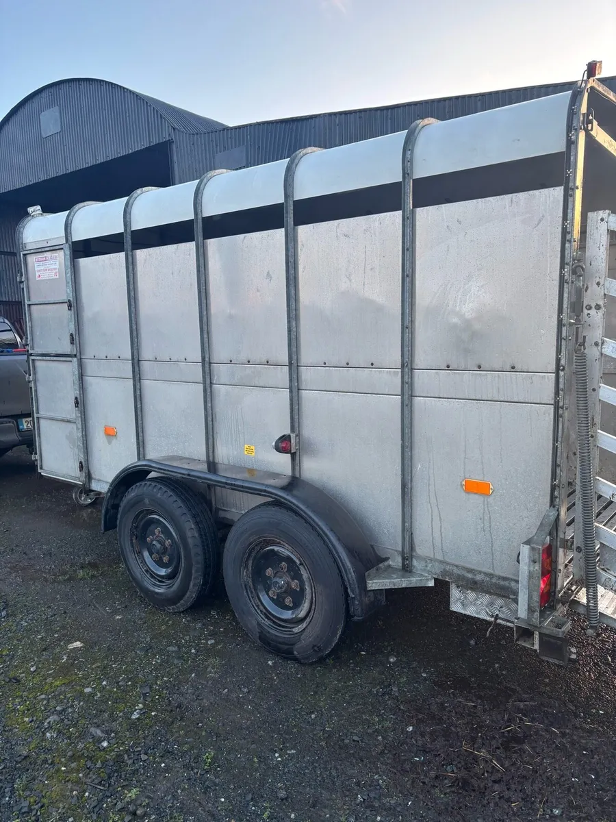 Cattle trailor - Image 2