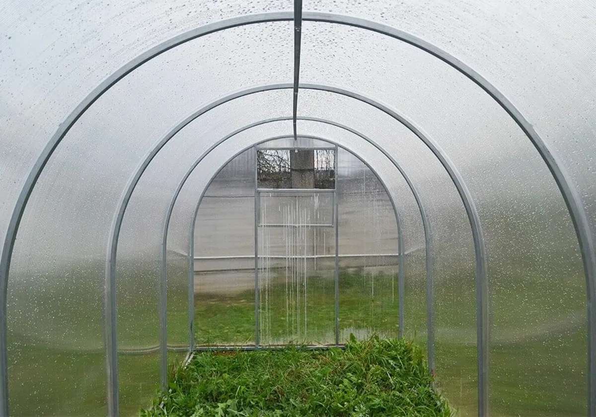 Polycarbonate Greenhouse “Compact” 2x4m - Image 2