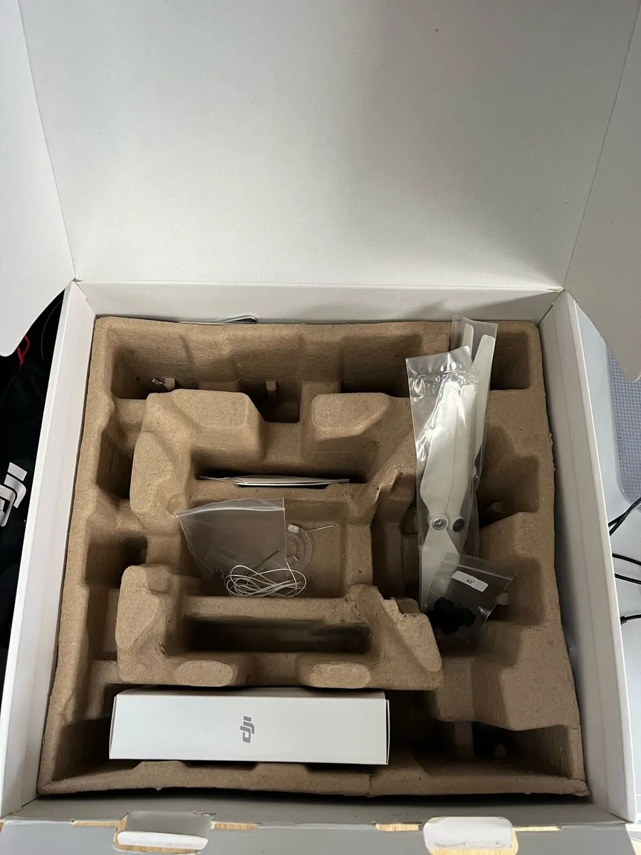 DJI Phantom 4 Professional - Image 3