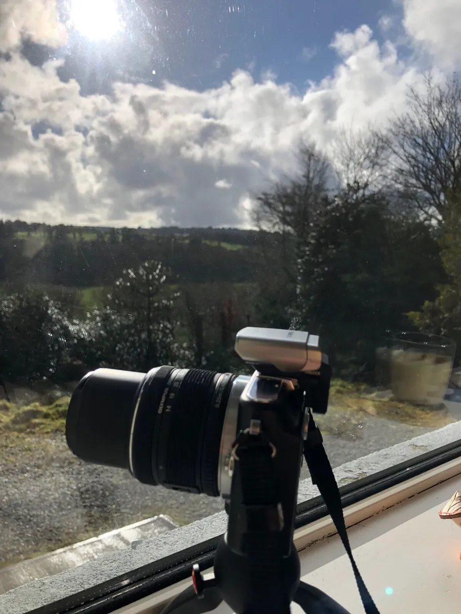 Olympus camera - Image 2