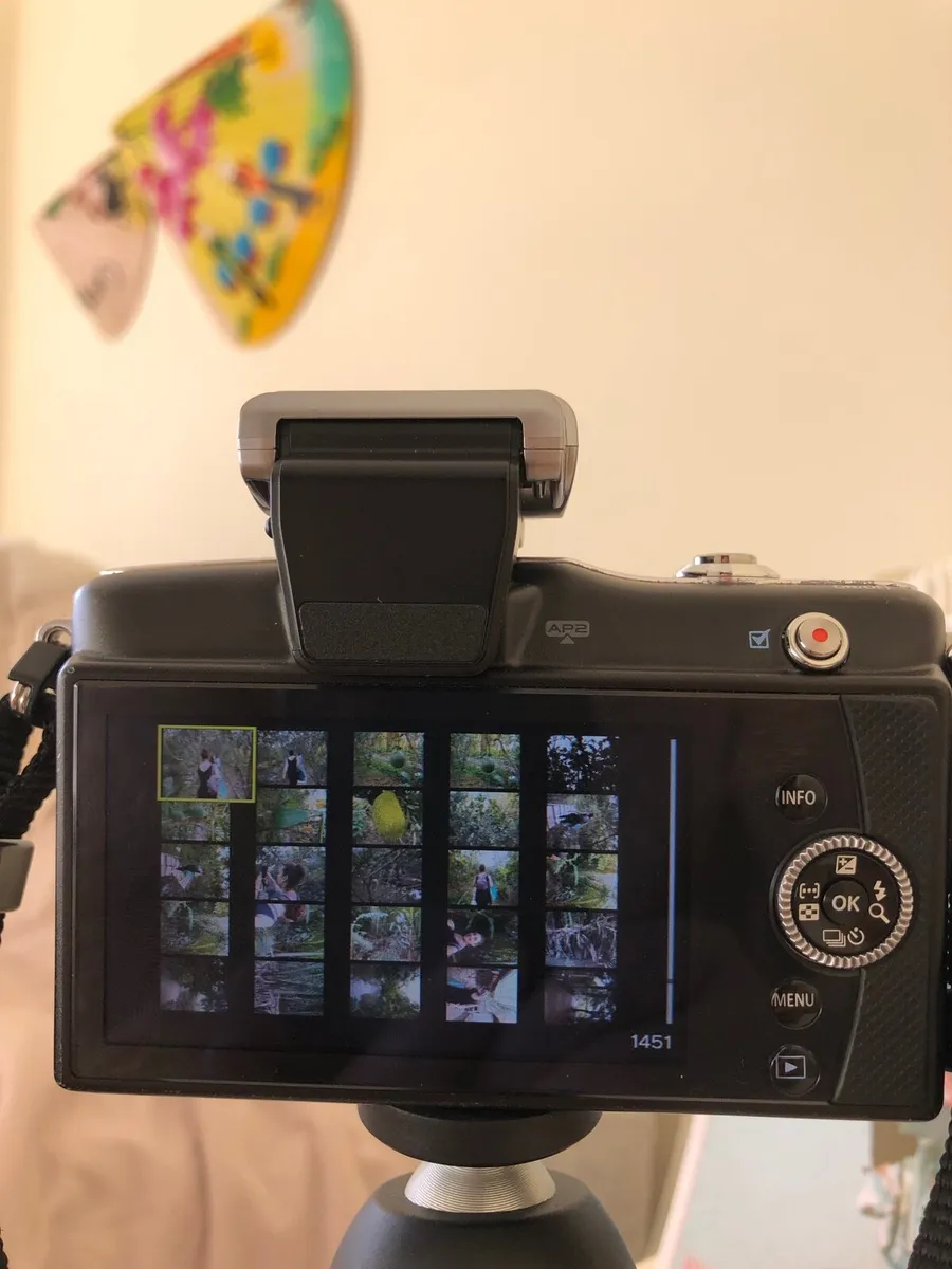 Olympus camera - Image 4