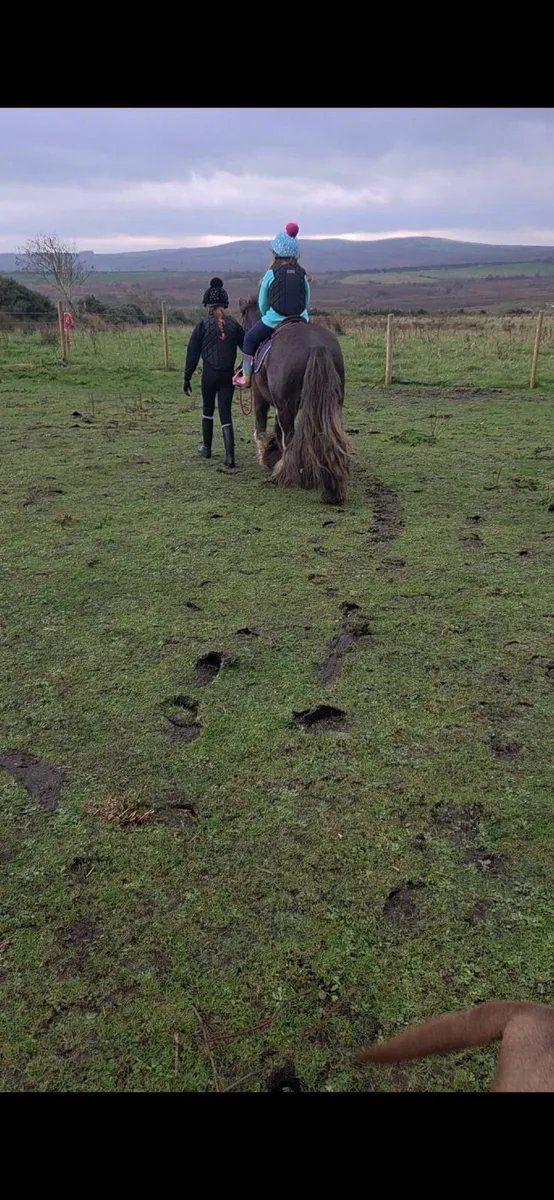 Bailey super cob - Image 3