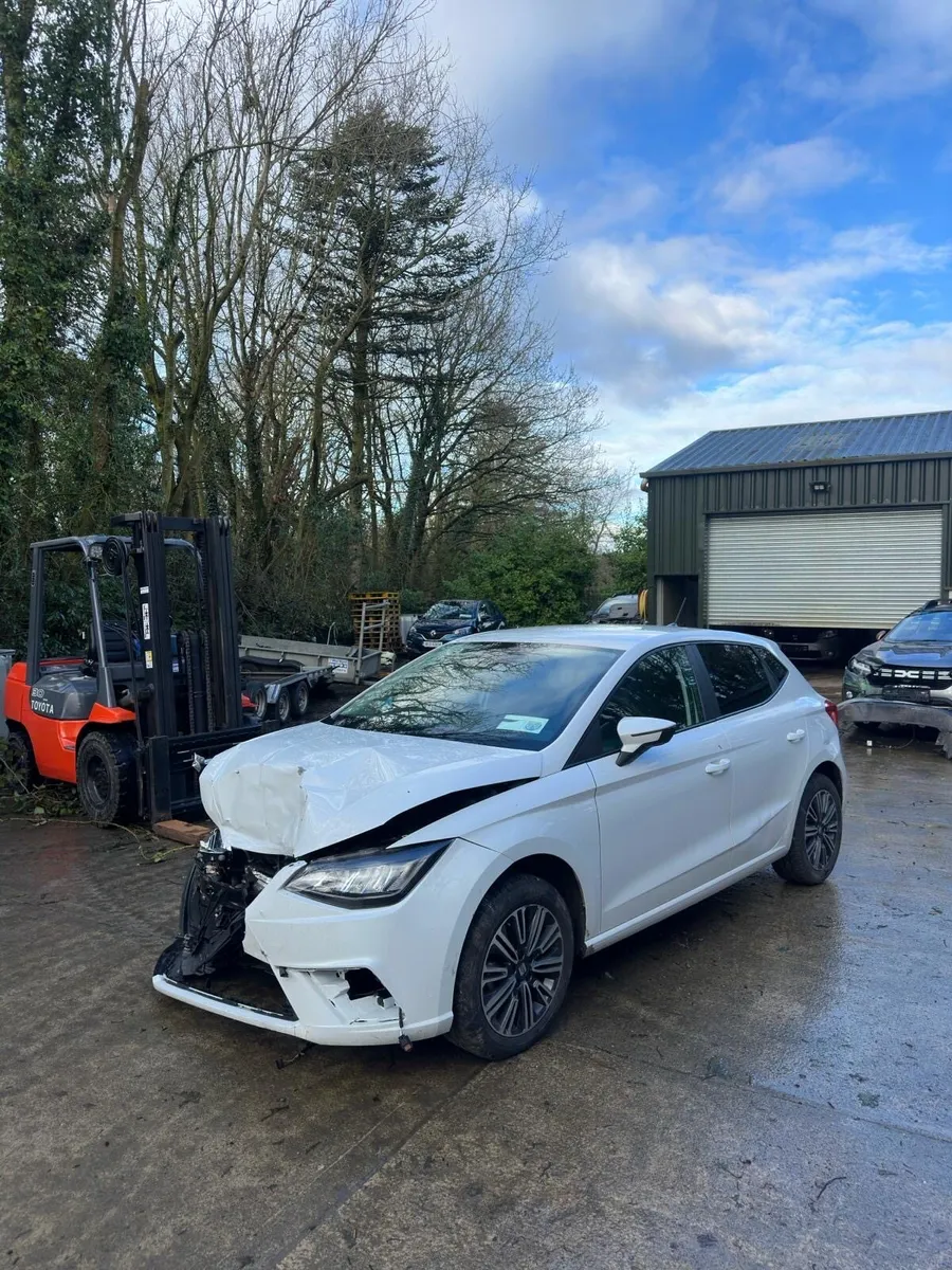 2025 Seat Ibiza NOT RECORDED - Image 1