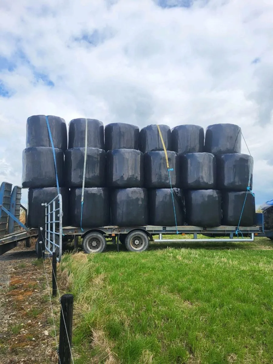 Haylage and hay - Image 1