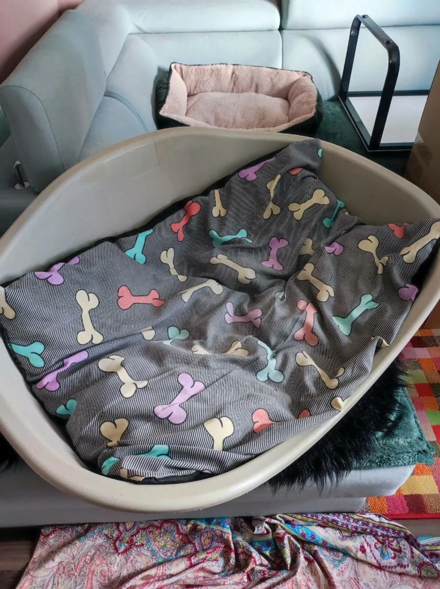 Dog bed - Image 2