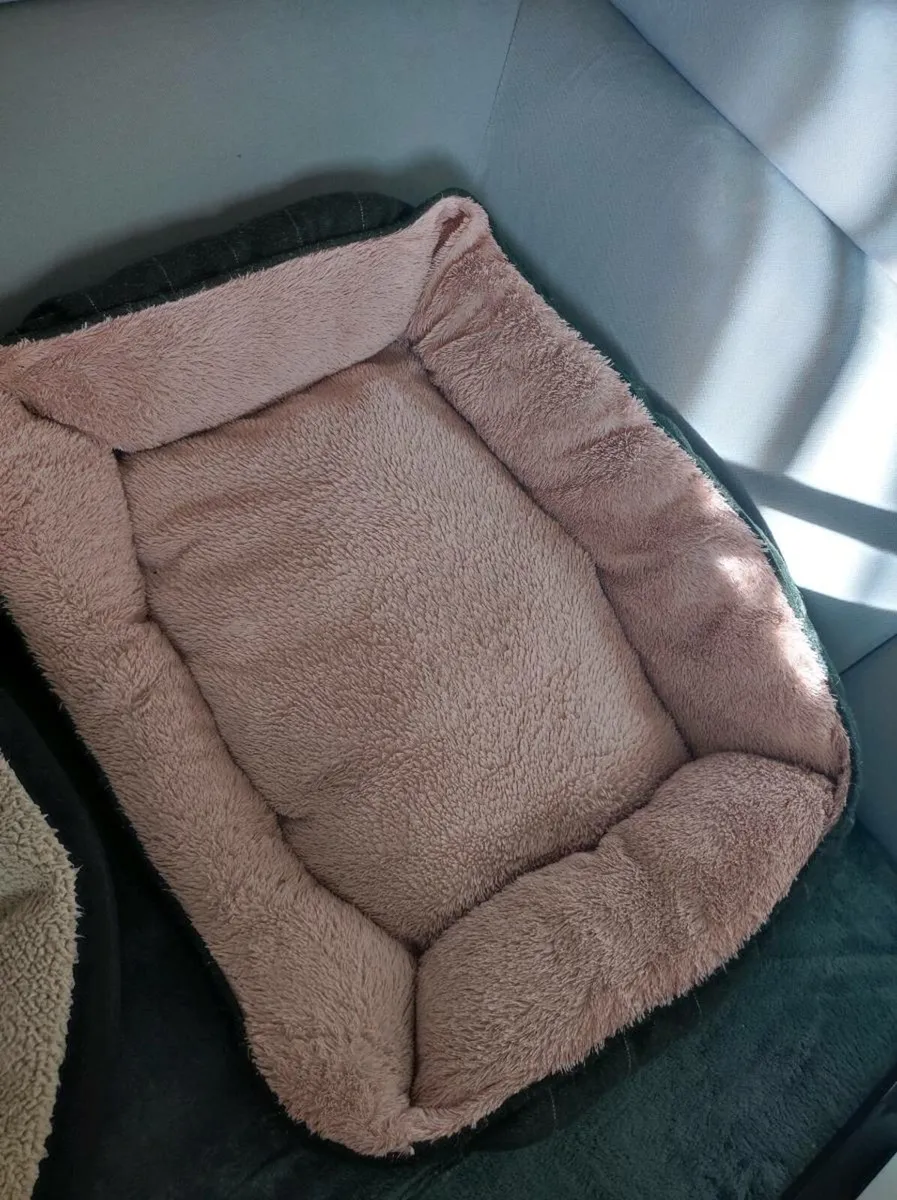Dog Bed - Image 1