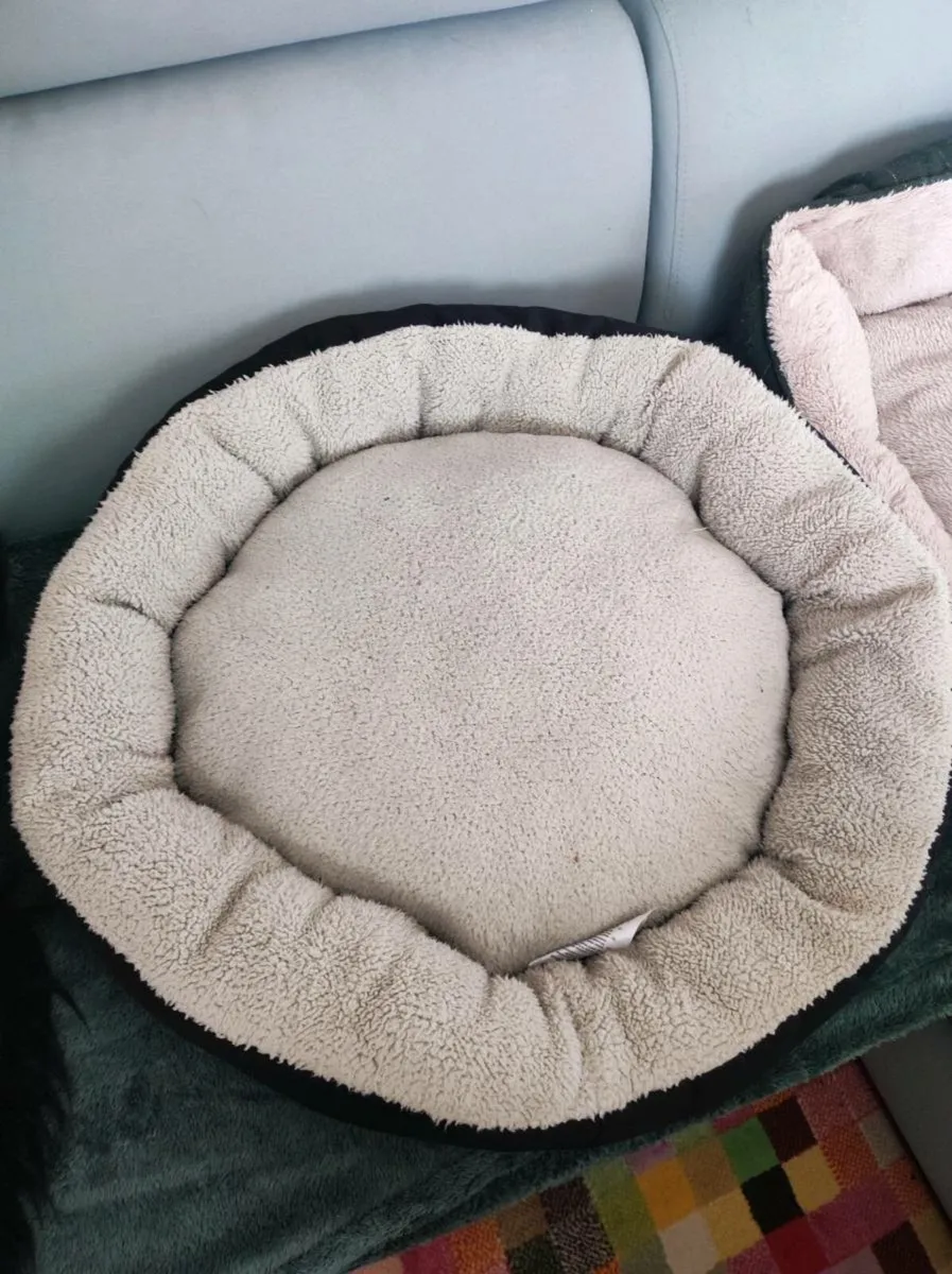 Dog Bed - Image 2