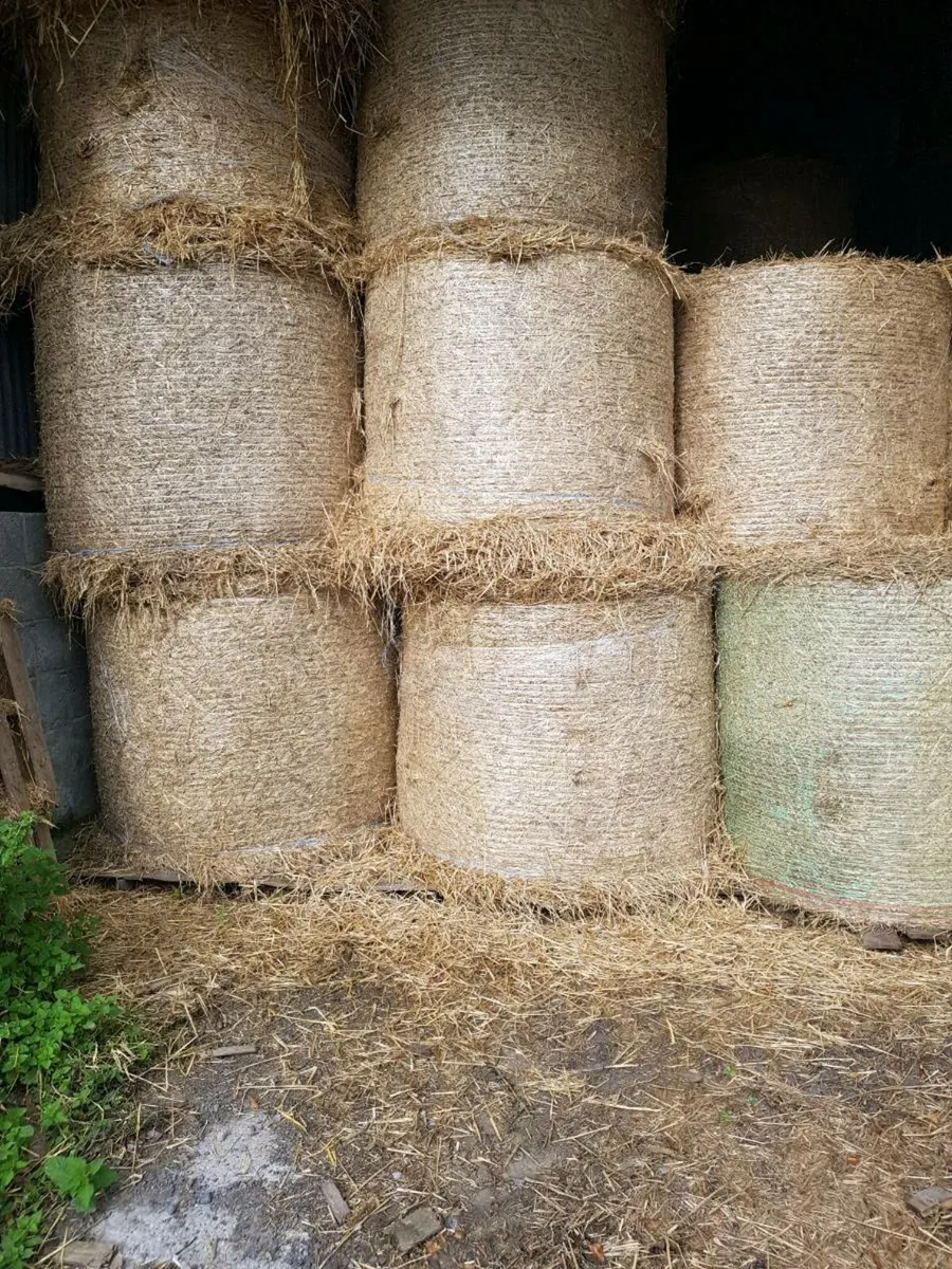 Hay and straw - Image 2