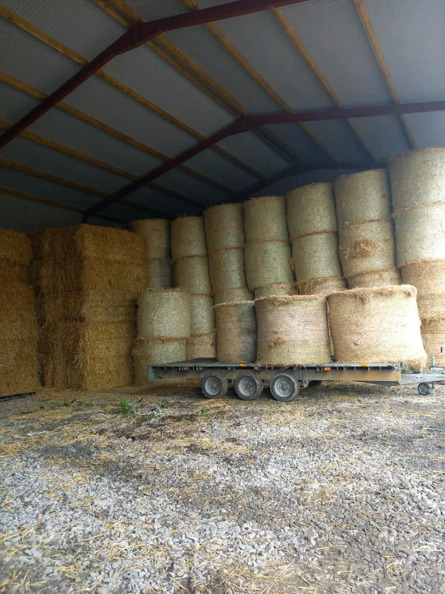 Hay and straw - Image 1