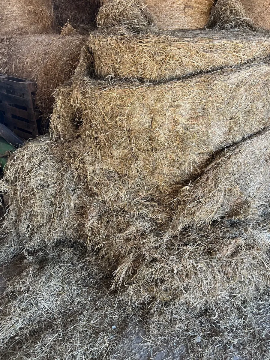 Haylage