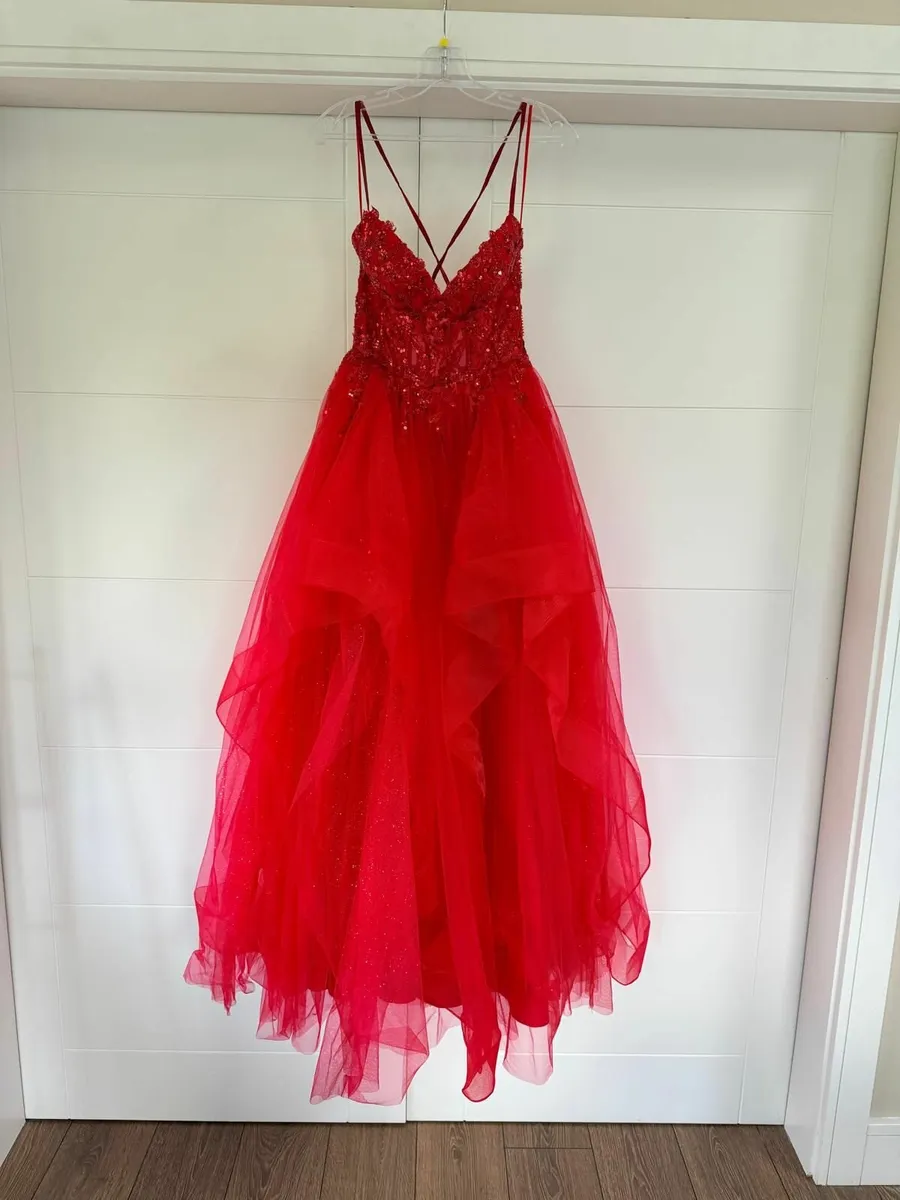 Occasion Dress including a zip-up dress cover - Image 1