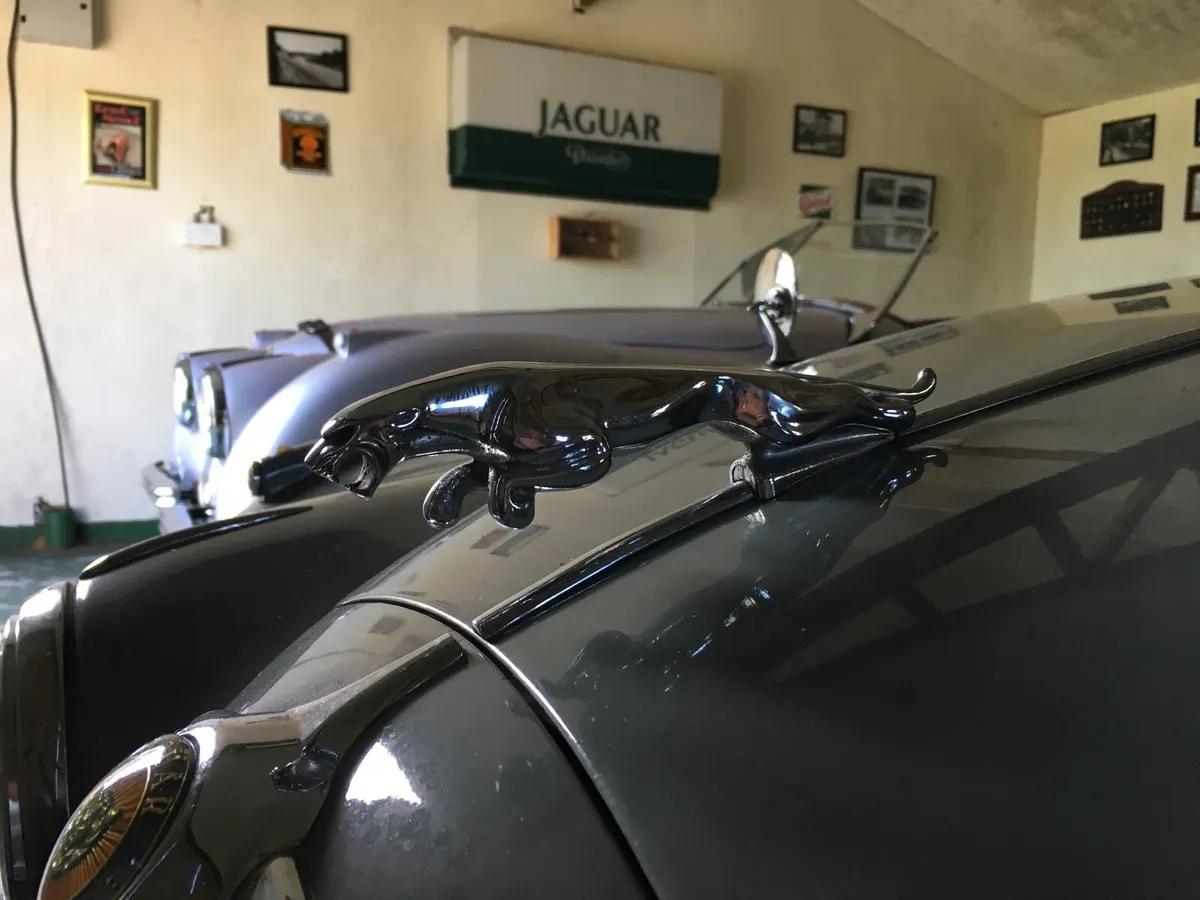 Jaguar MK11 - Image 2