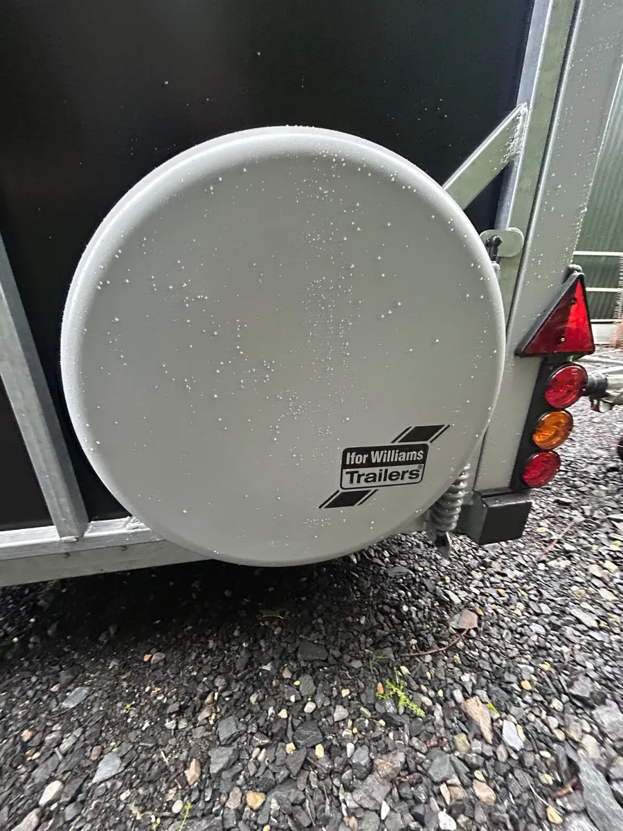 Finance a New Ifor Williams HB511 Horsebox - Image 4