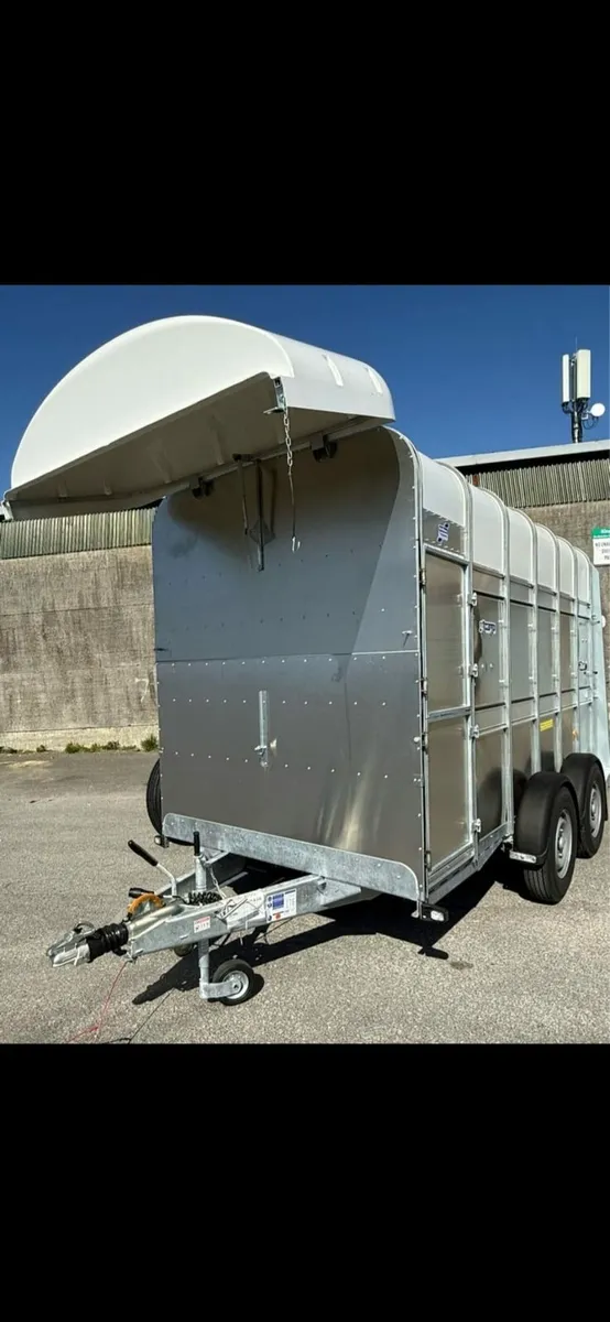IforWilliams cattle horse trailer 2 new trailers - Image 2