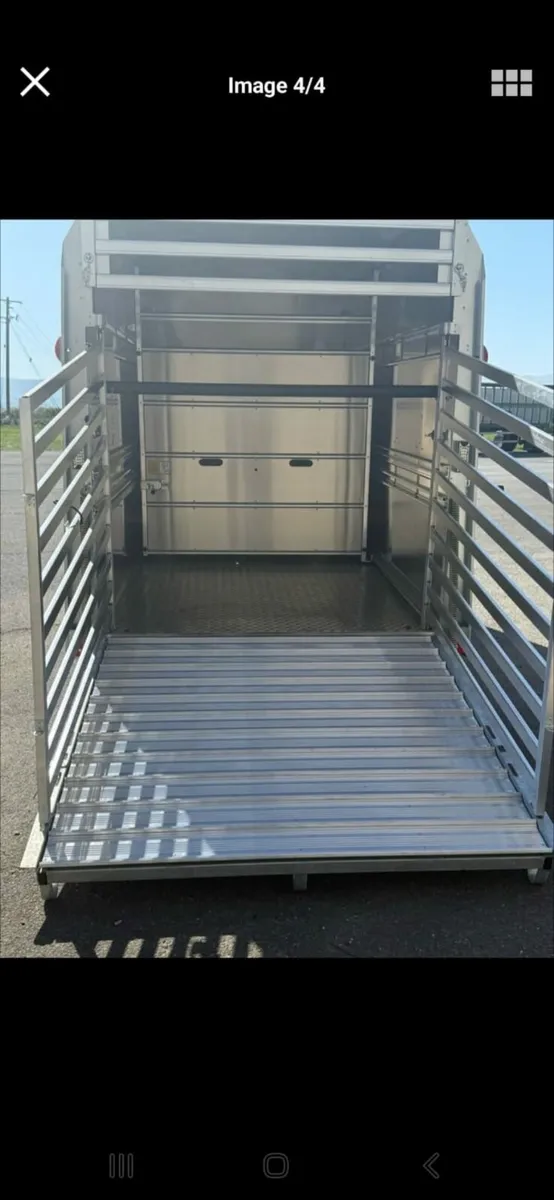 IforWilliams cattle horse trailer 2 new trailers - Image 3