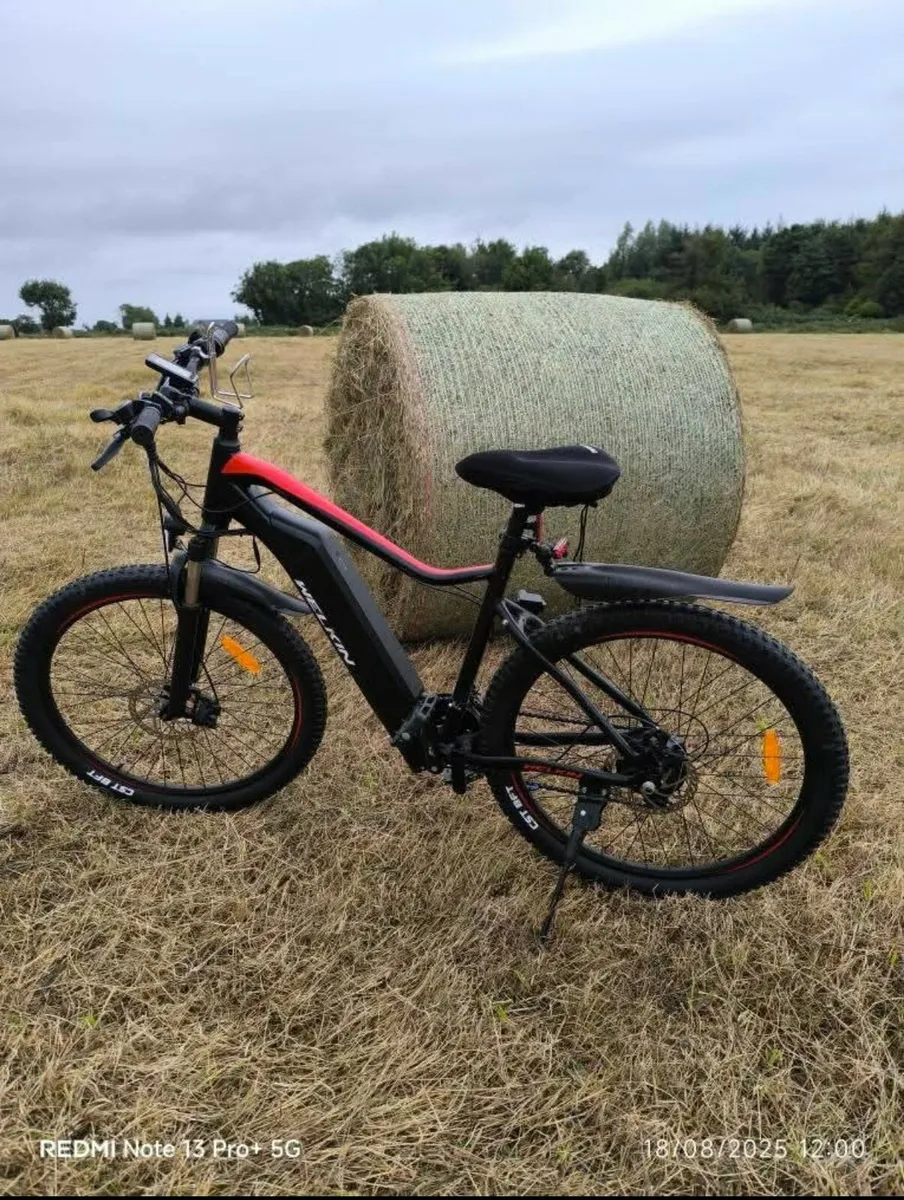 Welkin electric bike - Image 1
