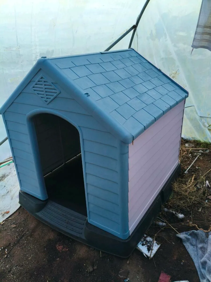 Beautiful shed 3 ft by 3 ft all round,75 Euro barg - Image 1