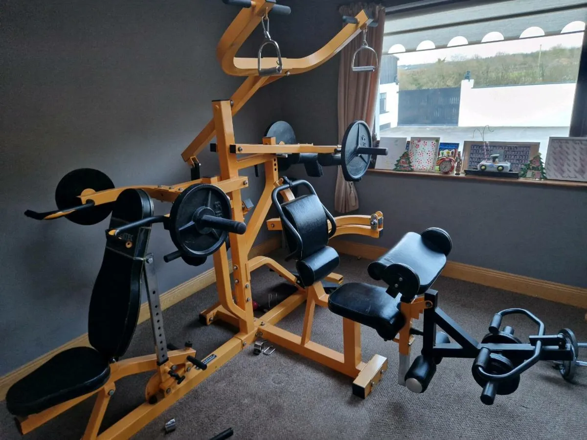 Multi Gym + Weight Plates – Home Gym Setup - Image 1