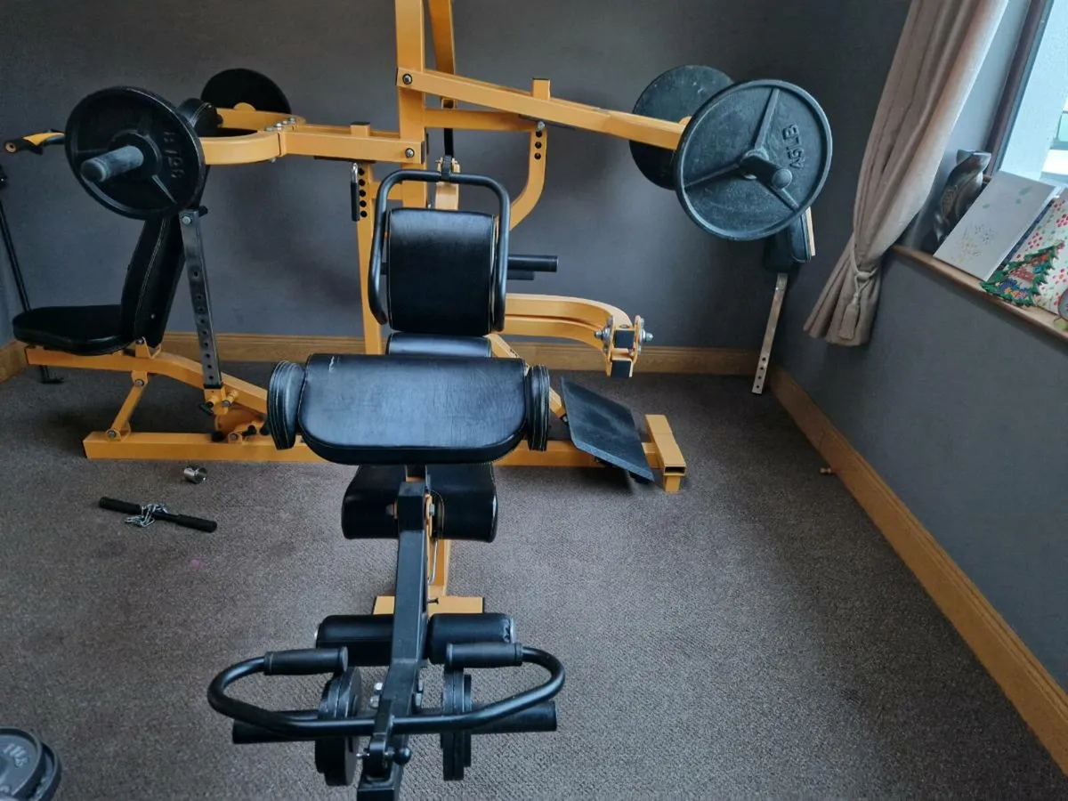 Multi Gym + Weight Plates – Home Gym Setup - Image 4