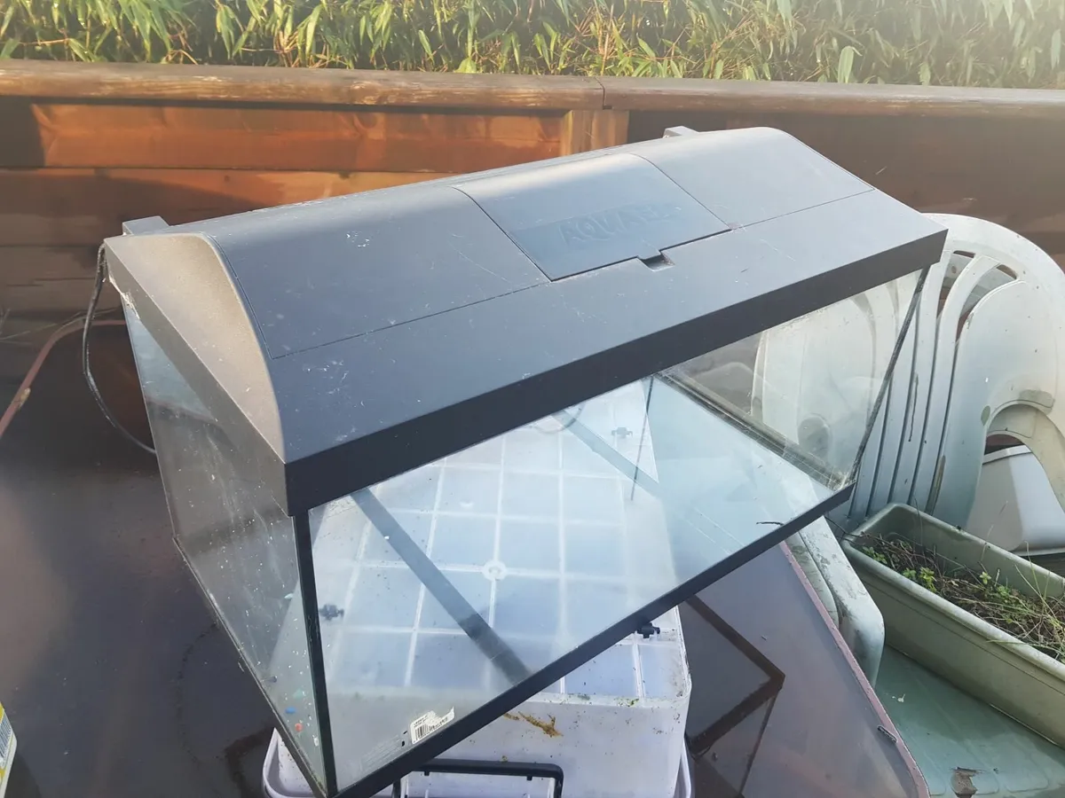Fish tank - Image 1