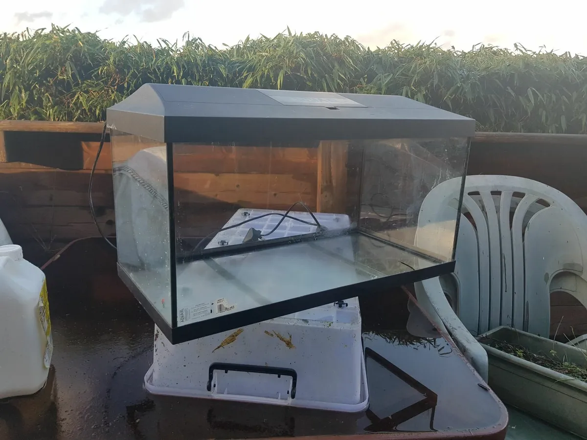 Fish tank - Image 3