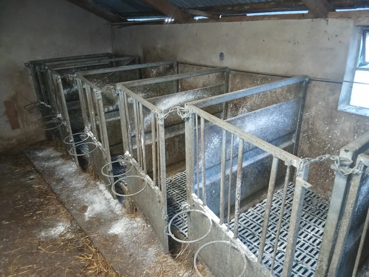 Calf Pens - Image 1