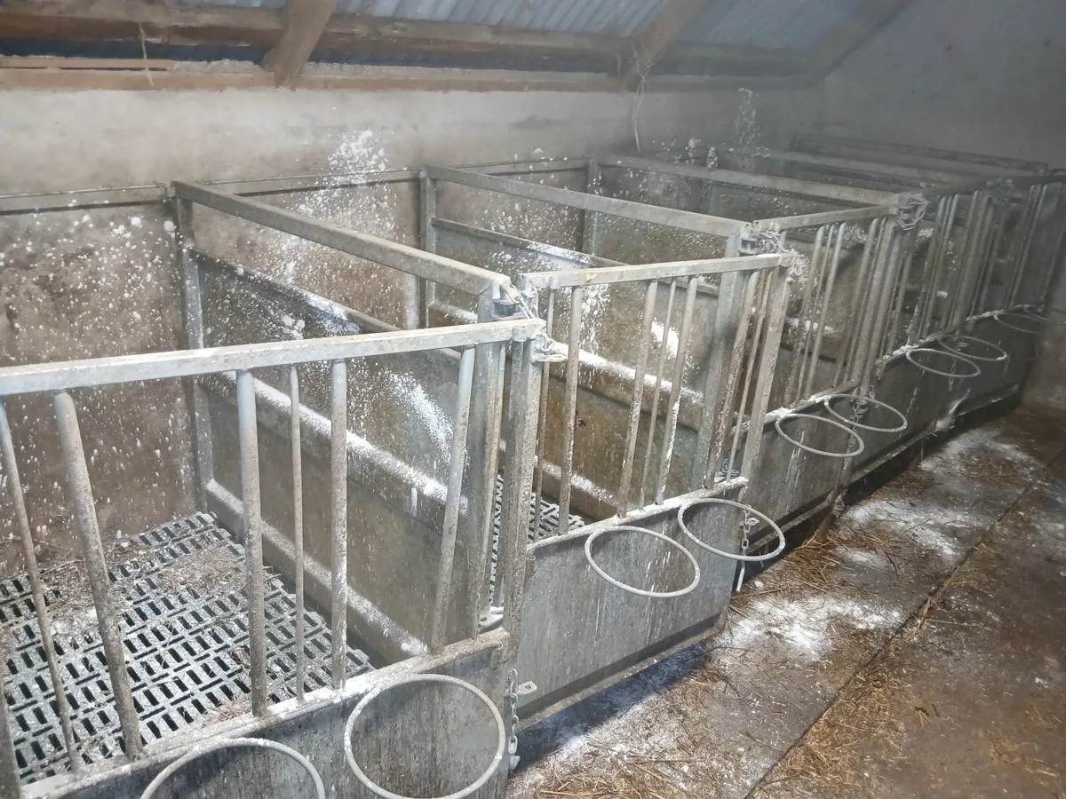 Calf Pens - Image 2
