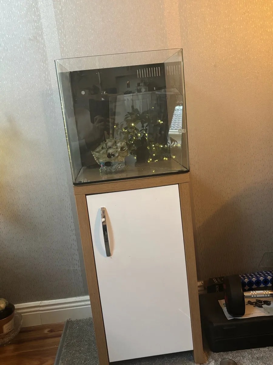 Fish tank - Image 1