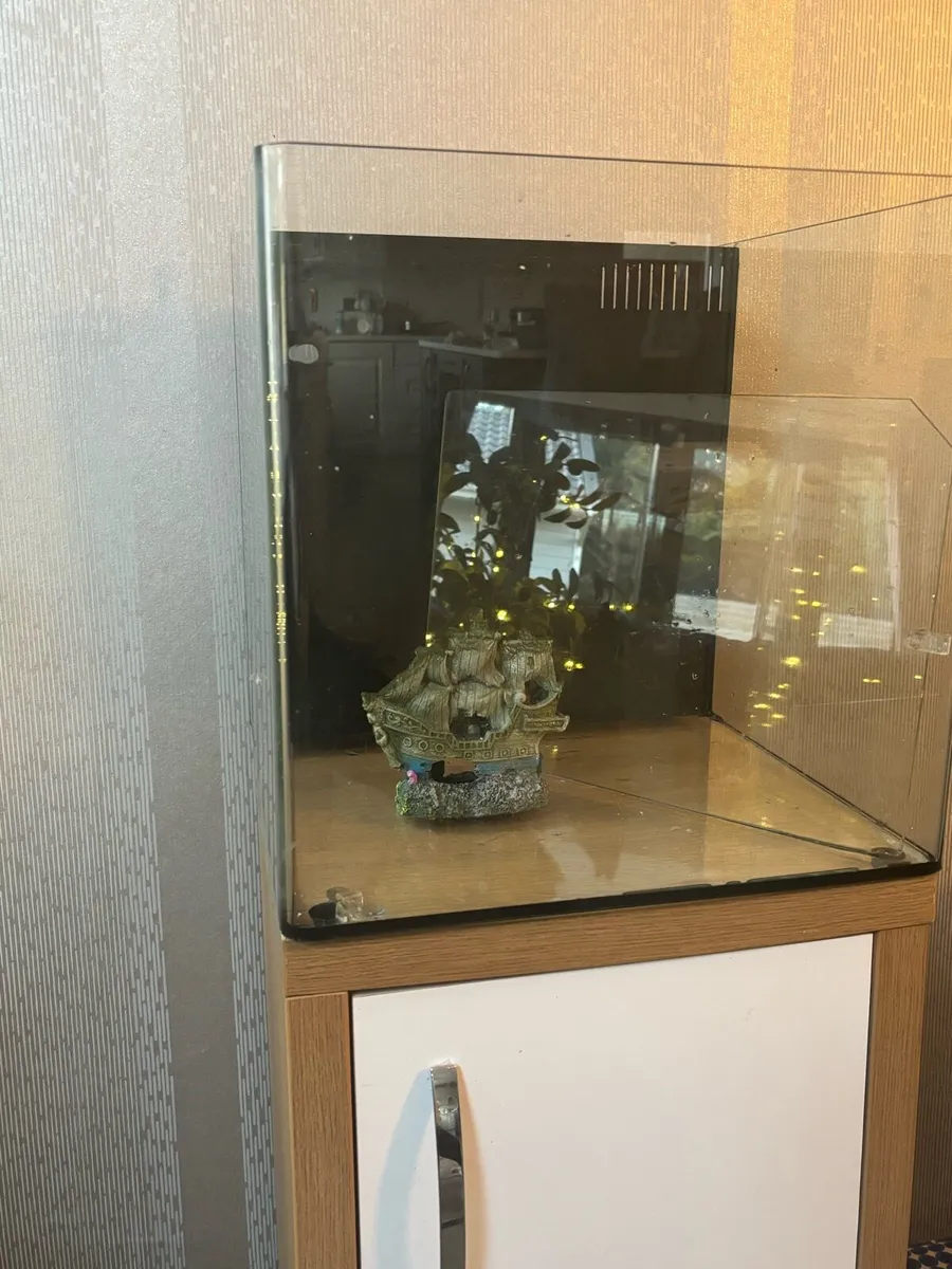 Fish tank - Image 2