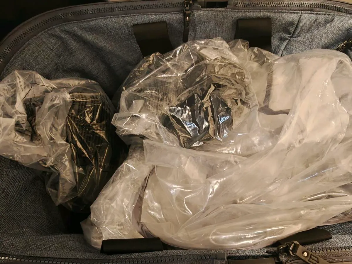 Nuna Demi Grow Pram - Image 4