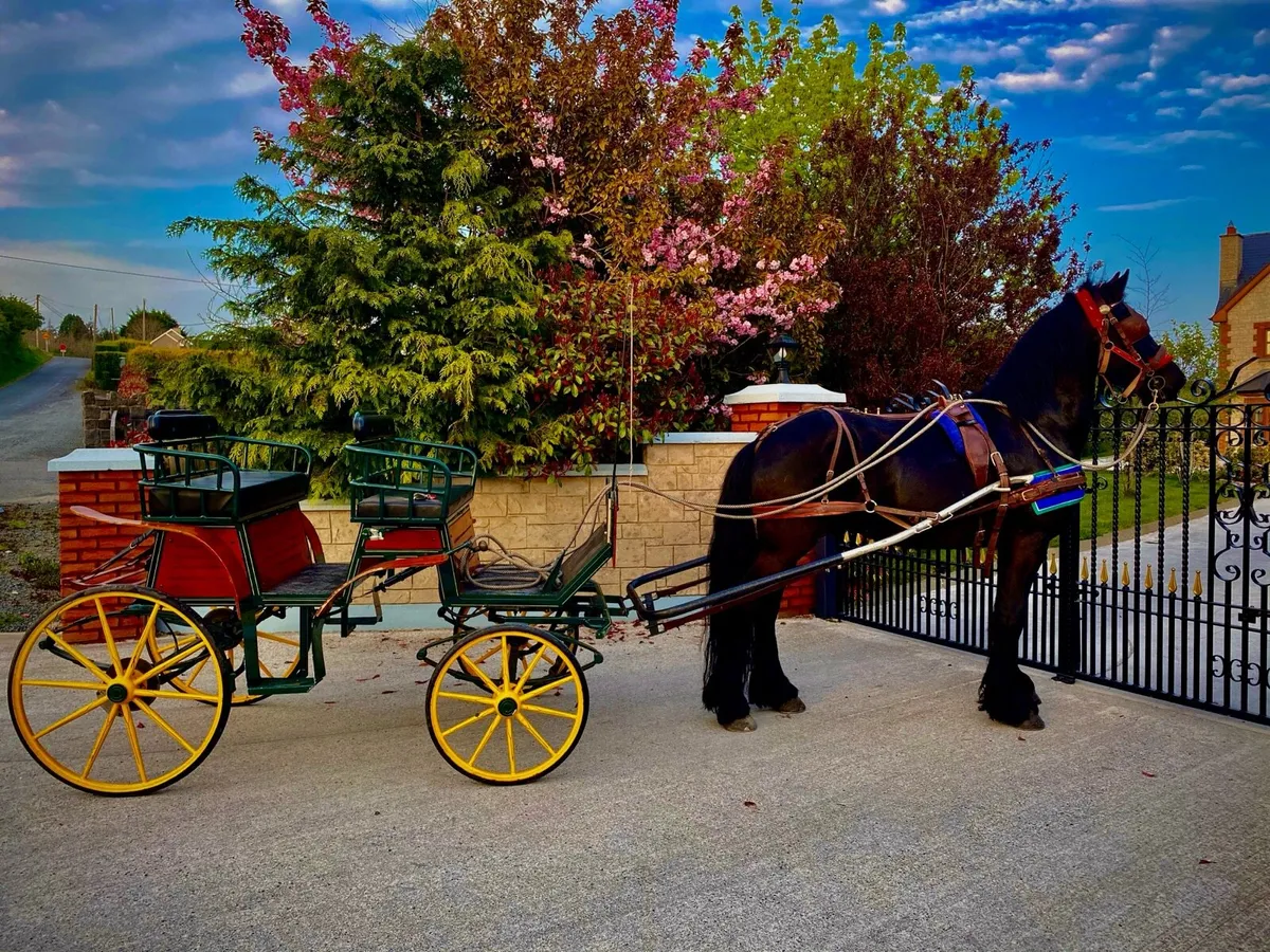 4wheel carriage - Image 2