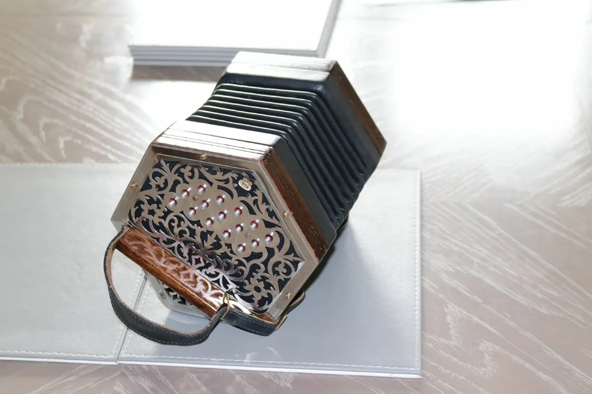 Concertina - Image 1