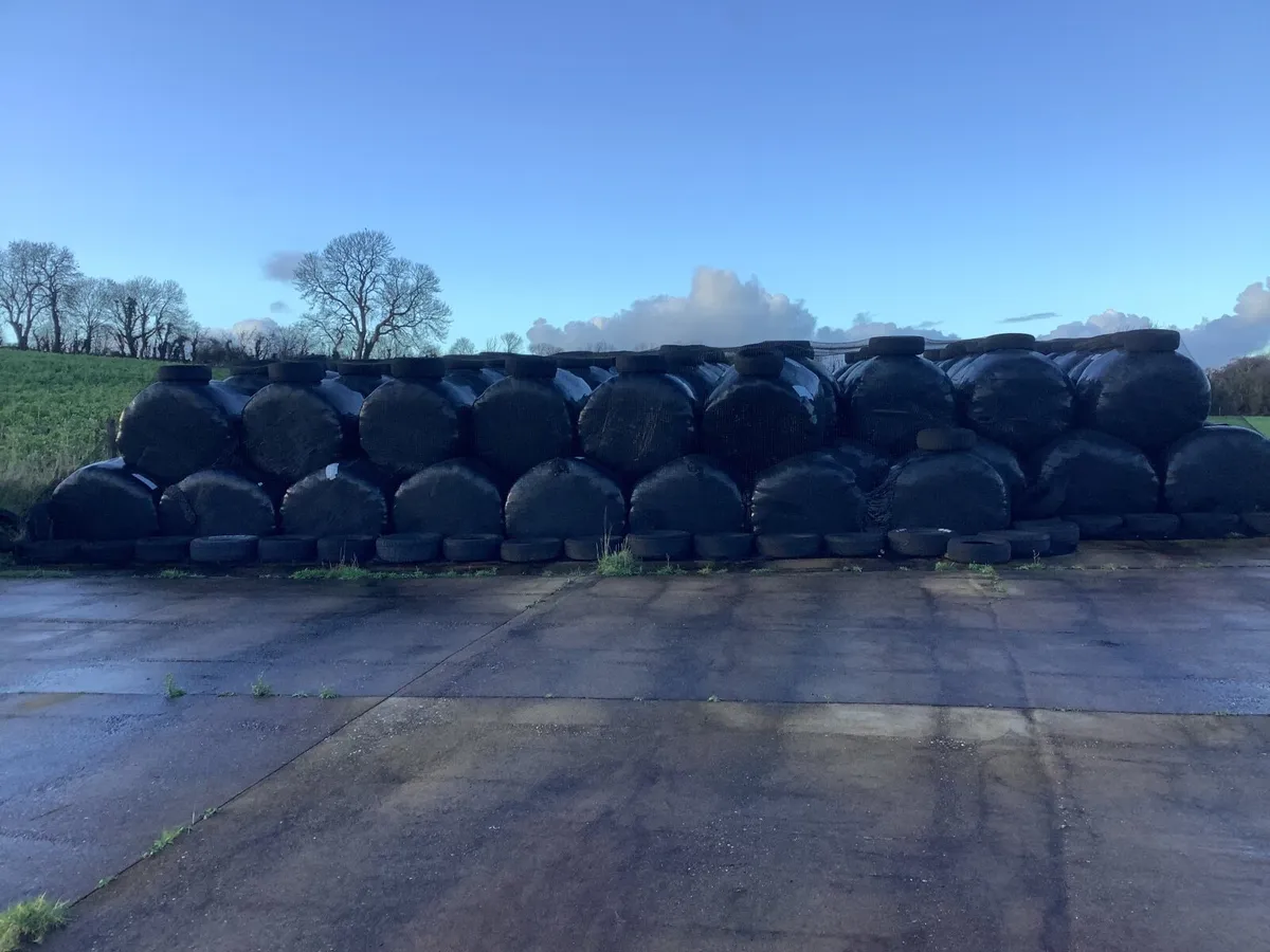 Silage bales - Image 1