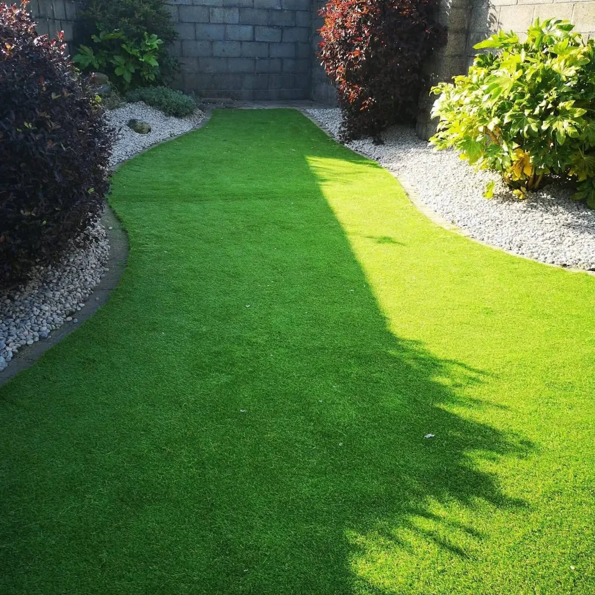 Ballymittys Artifical Kings - Image 3