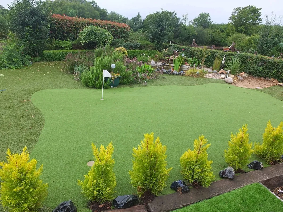 Ballymittys Artifical Kings - Image 2