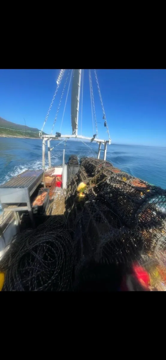 Ip 24 boat - Image 4