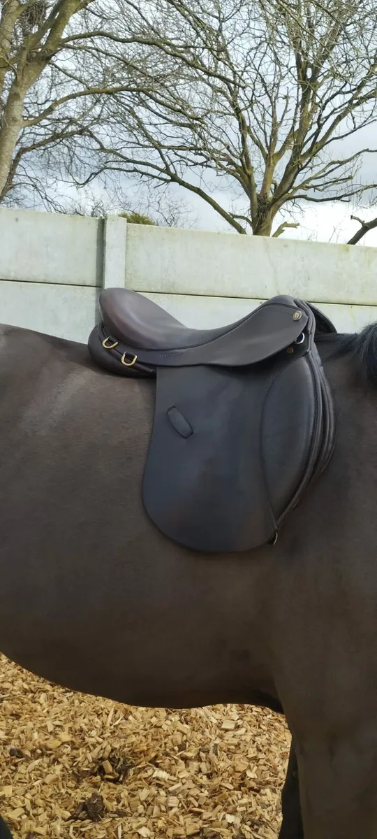 16.5 GP Saddle (Paul Jones) - Image 1