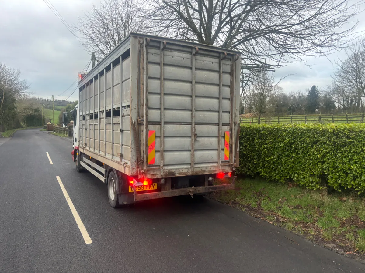 Man Other 2009 - Image 4