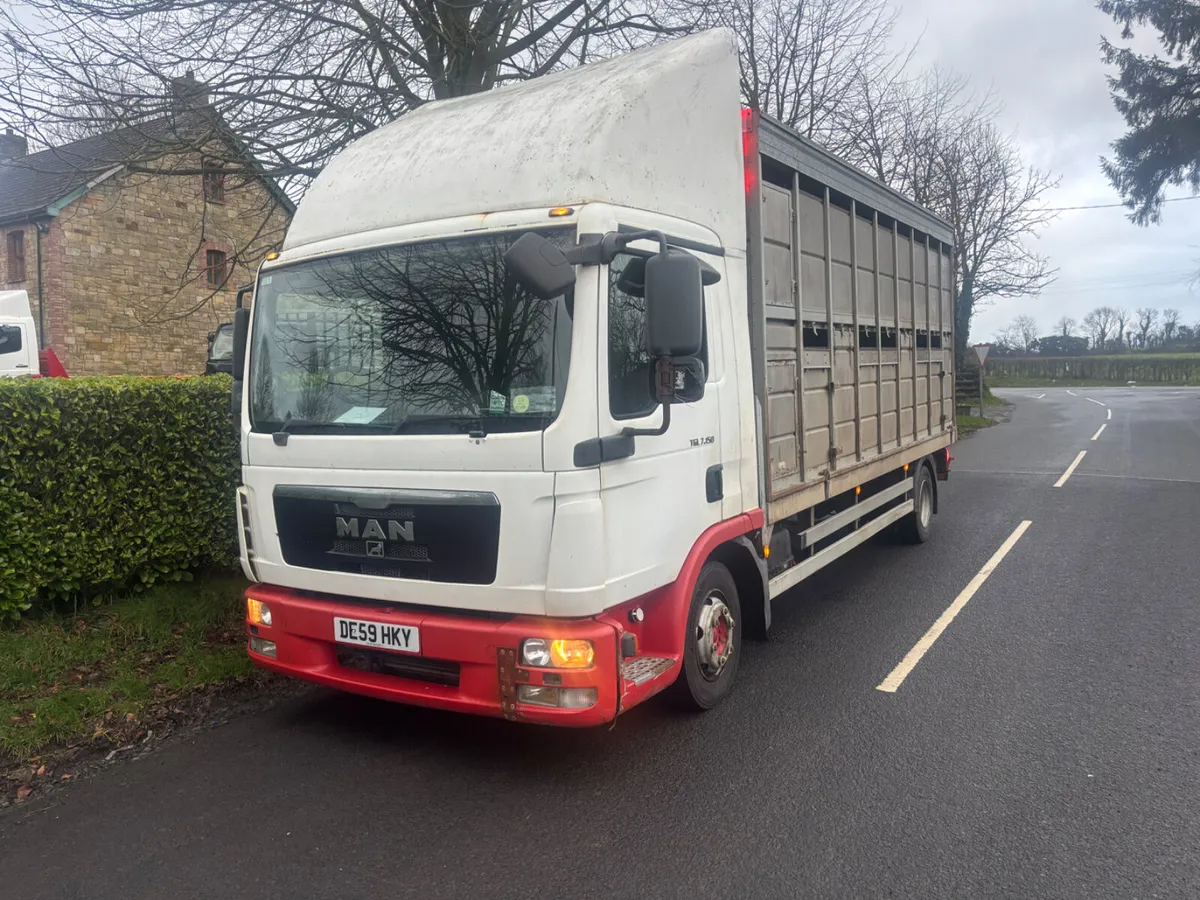 Man Other 2009 - Image 1