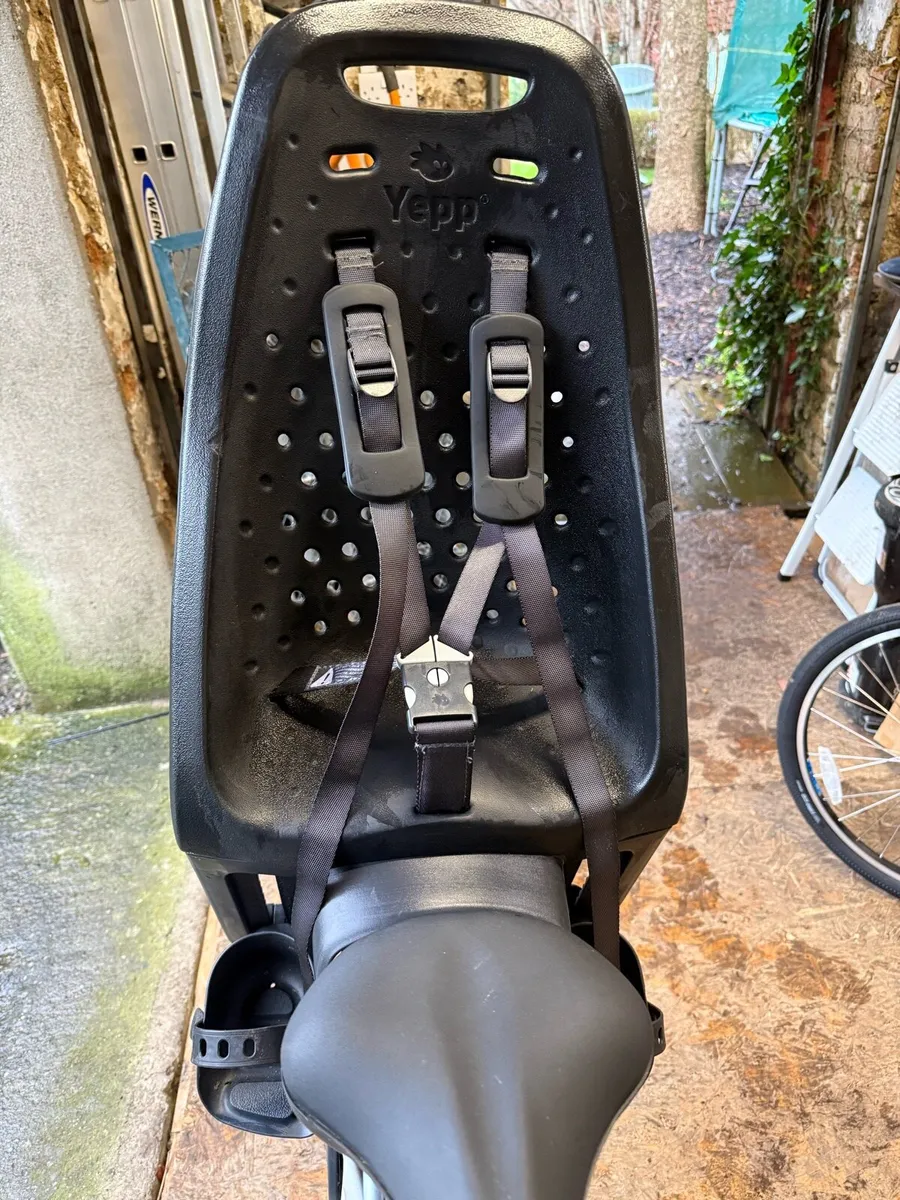 Thule Bike Seat for Toddlers - Image 1