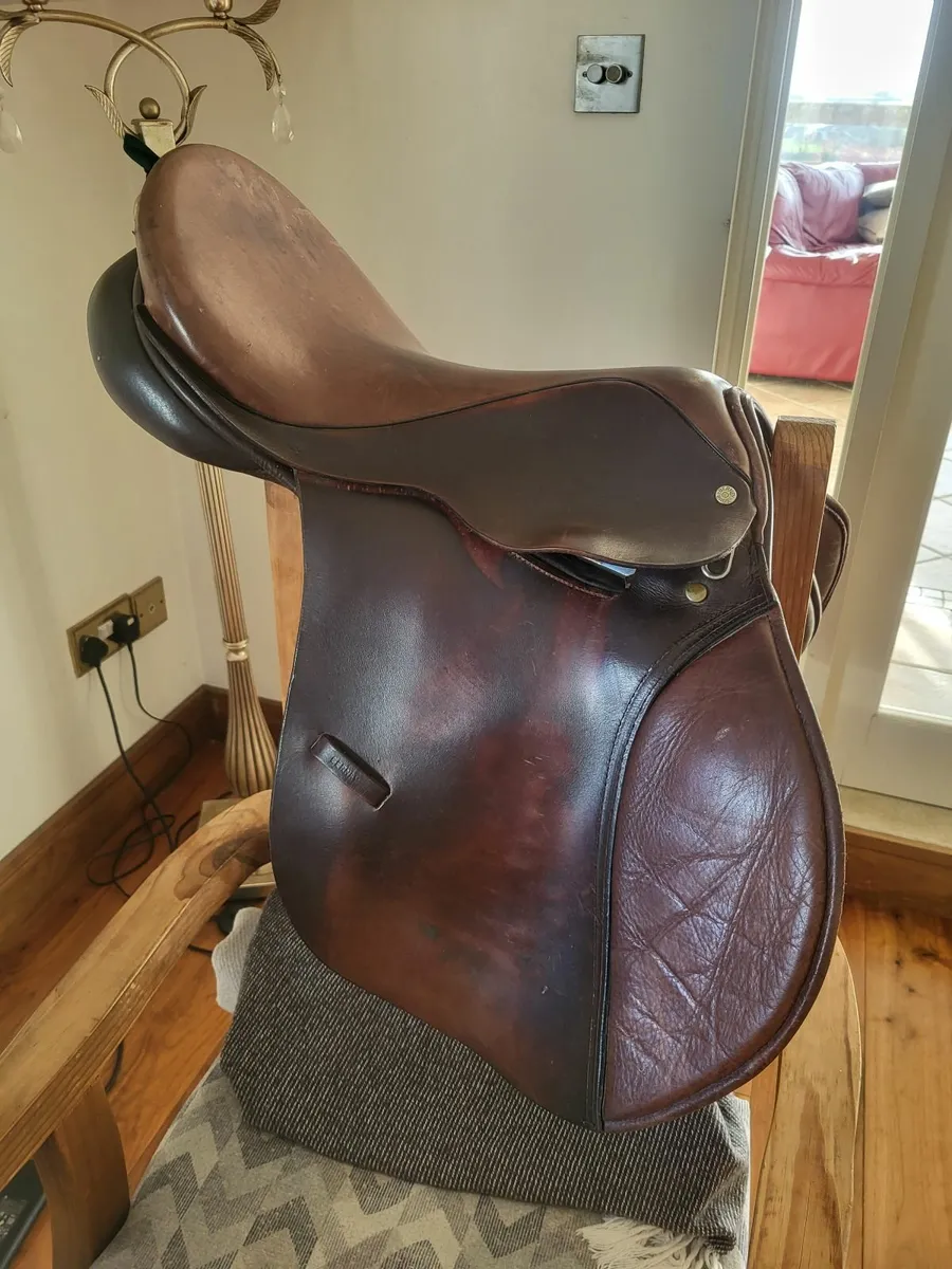 Berney Bros Saddle - Image 4