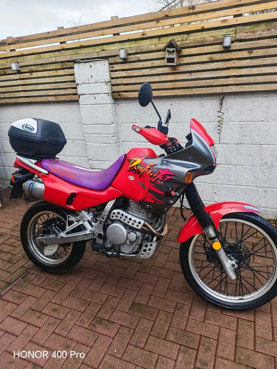 Honda dominator NX 650 - Image 1