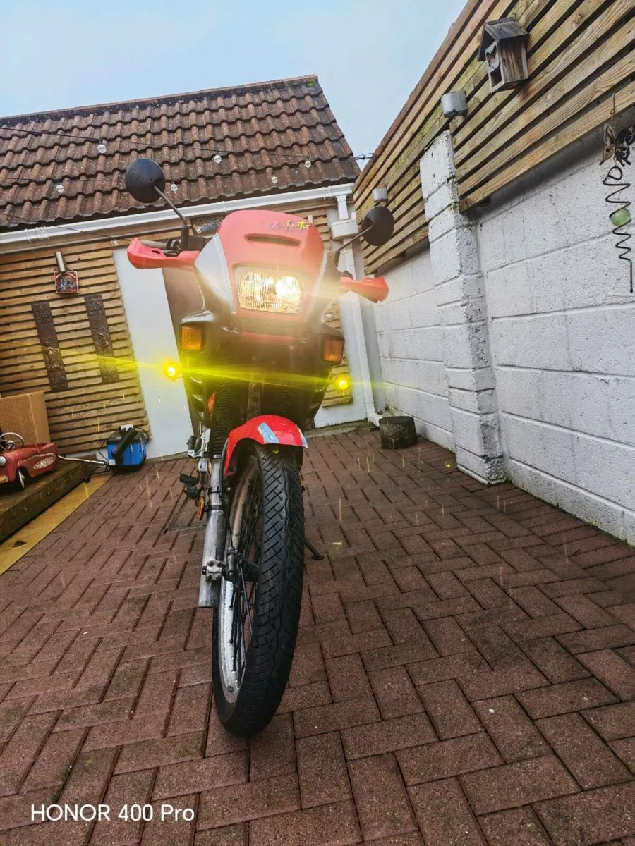 Honda dominator NX 650 - Image 2