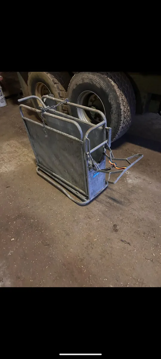 Dehorning Crate for calves - Image 2
