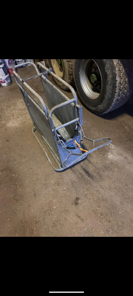 Dehorning Crate for calves - Image 1