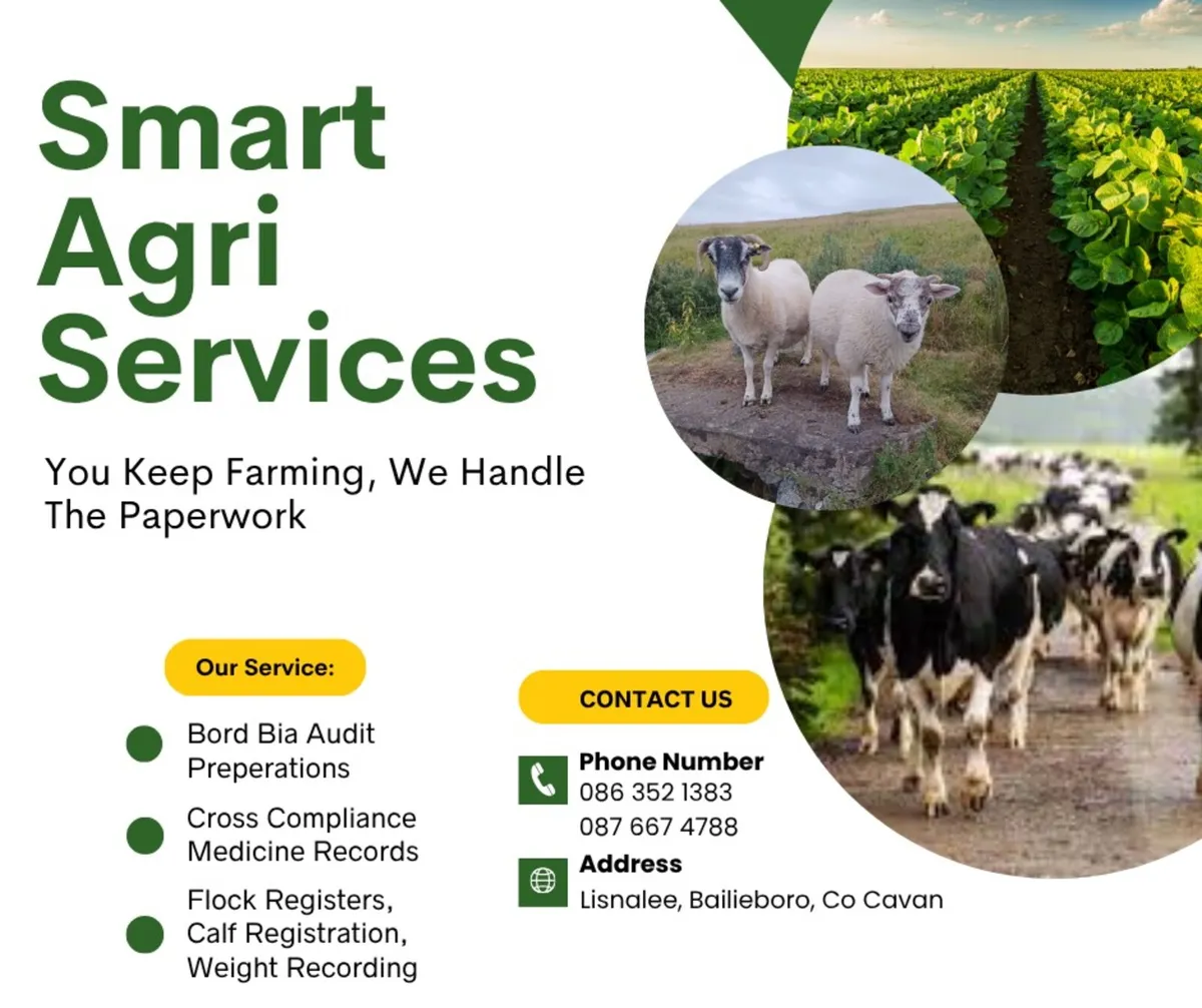 You Calve The Cows, We Handle The Audit - Image 1