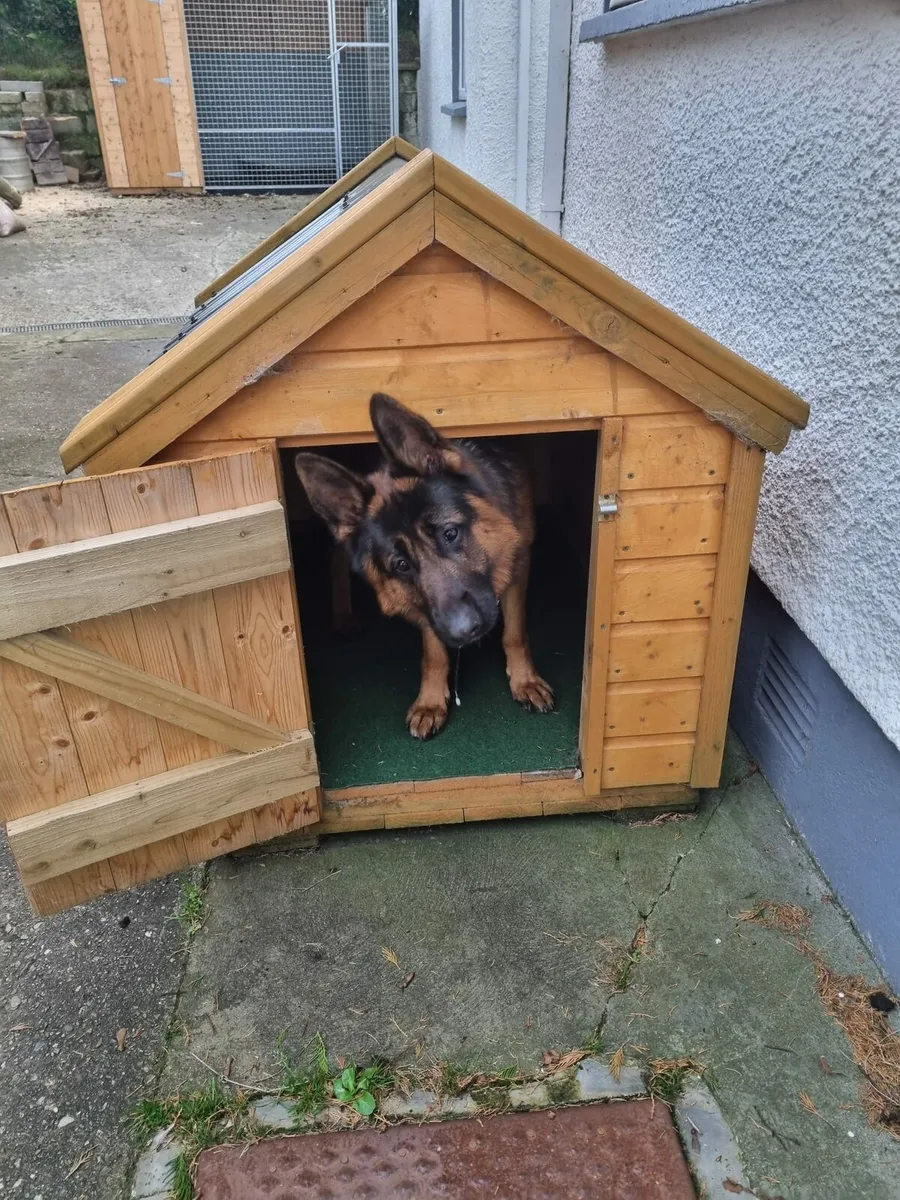 Dog Kennel - Image 1