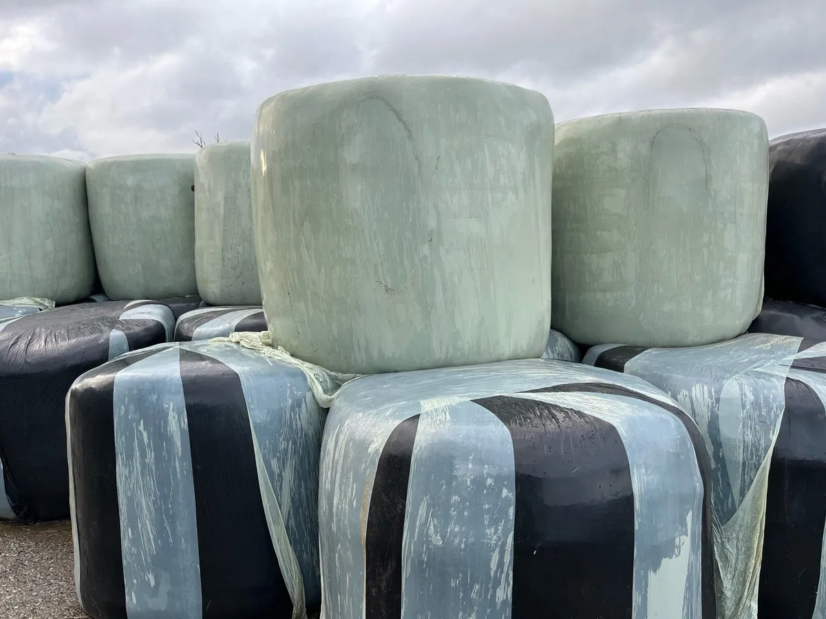 For Sale Round Bales - Image 1