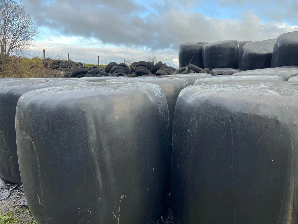 For Sale Round Bales - Image 2